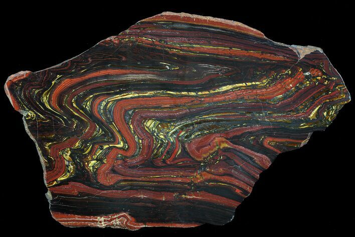 Polished Tiger Iron Stromatolite - ( Billion Years) #63991